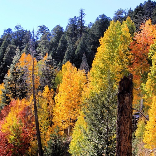 autumn vacation arizona usa fall nature colors beautiful catalina skiing tucson hiking hike resort mount views lemmon 2012