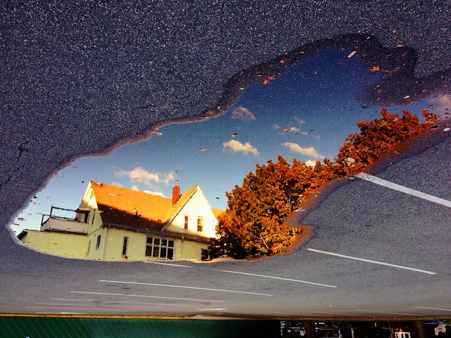 Puddle of Fall (Arts at the Armory parking lot), Somerville