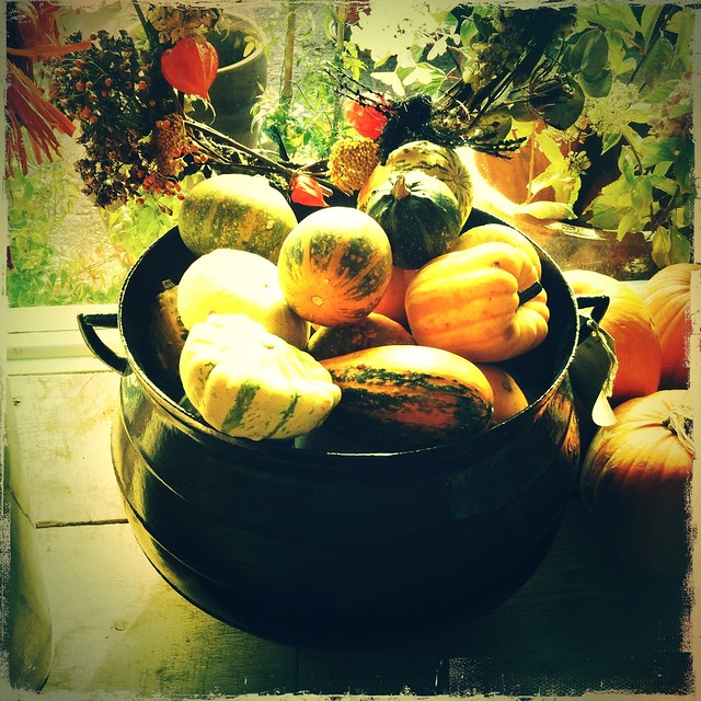 Pumpkins 3