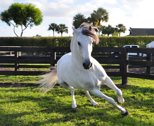 Wheeeee ! | by sineadferguson