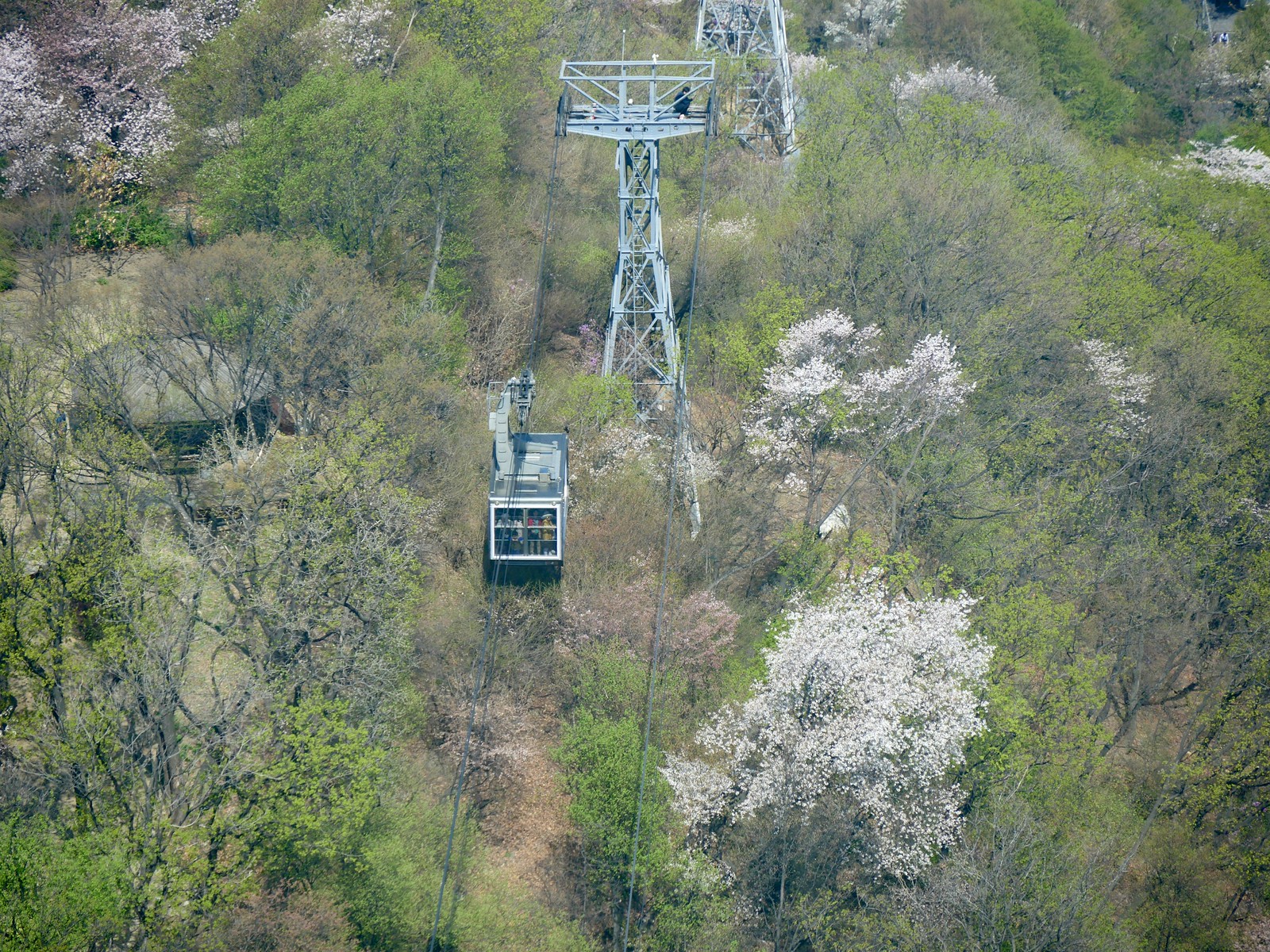Namsan Cable Car