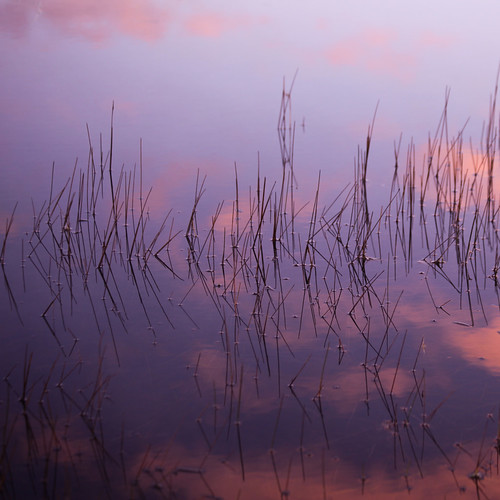 Sérénité sur le lac...!!! | Serenity on the lake...!!! | Flickr