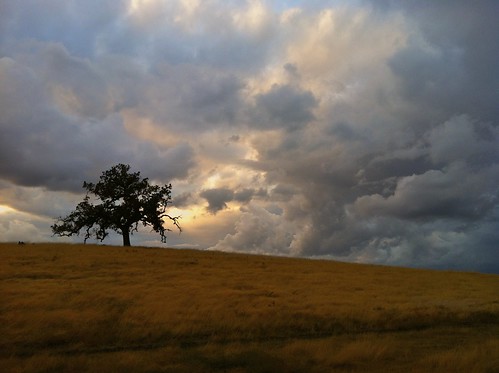 california sky foothills storm tree colors clouds landscape oak folsom grasses prairie iphone iphonography ernogy