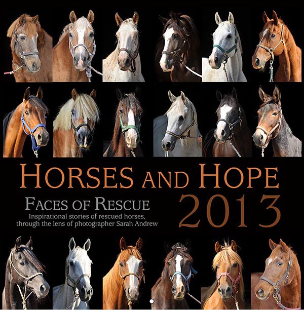 Electronic press kit for Horses and Hope: Faces of Rescue