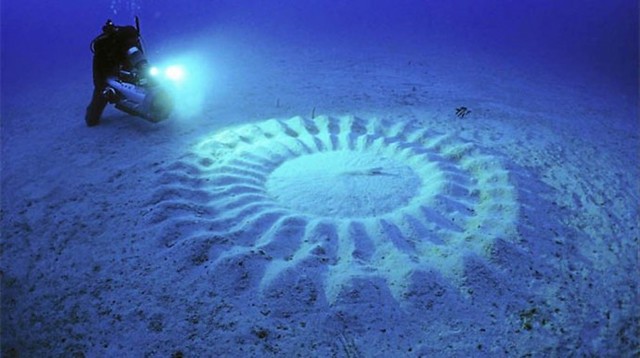 I misteriosi Crop circles nelle profondità marine del Giappone. Chi è l'autore di questi disegni sulla sabbia?