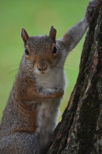 You talkin to me? | by angela n.