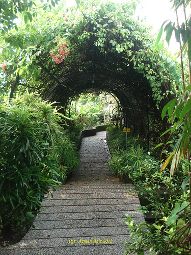 Secret Garden 1 Utama - The Secret Garden Utama (Petaling Jaya
