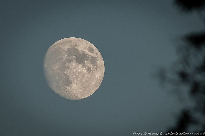 Moon : 27 / 10 / 2012 : Nikon D2XS