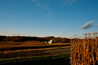 Farm along the road