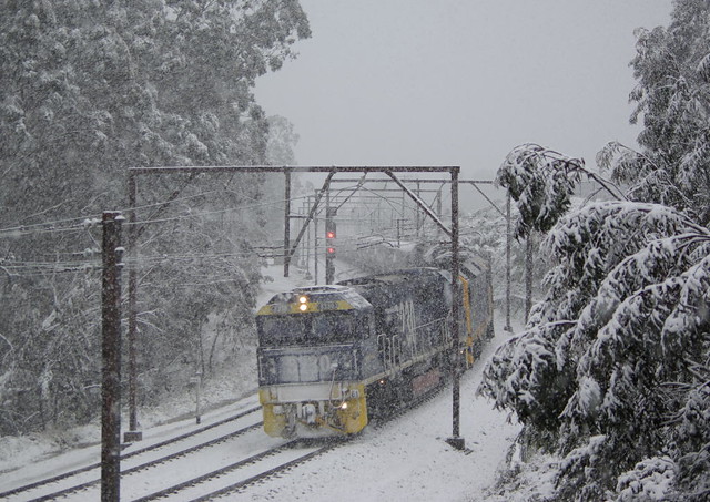 Coal train in a snow storm