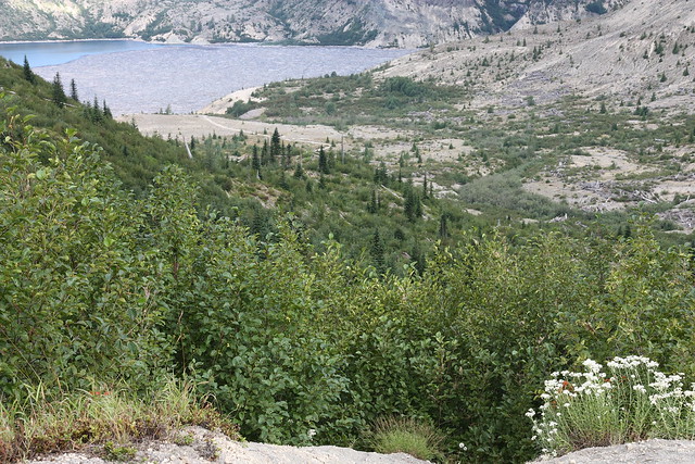 Spirit Lake from Trail 224