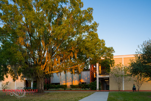 University of South Florida FAH building