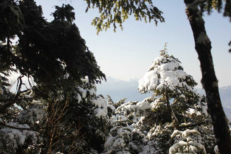 冬の編笠山