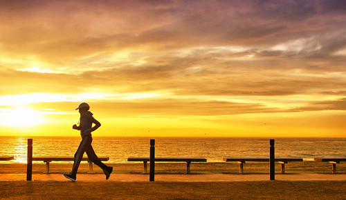 sunrise runner by Seracat