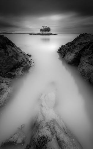 pictures california longexposure bw canon photography blackwhite fineart le lightroom bonsitree niksoftware induro silverefexpro tobyharriman chinacheac
