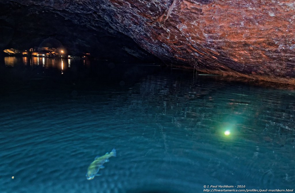 The Lost Sea 13 Craighead Caverns Is An Extensive Cave S Flickr