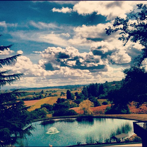 View from my office today. Had a 6 day work week glad for the next 2 off! Cheers to Your Weekend! by Laura O Photo, square nashville squareformat iphoneography instagramapp uploaded:by=instagram foursquare:venue=4b52