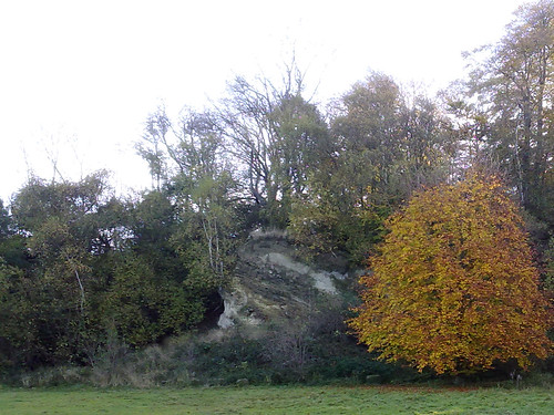Autumn colours | November 2012 Dryhill in Kent. | Toni Macphee | Flickr
