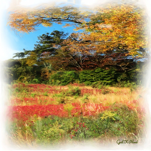 autumn colors photoshop painting georgia landscape contemporaryartsociety awardtree gailpiland rememberthatmomentlevel1