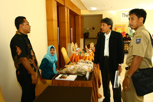 3rd MM on Food Security - Mataram, Indonesia, 3-5 October 2012 | by D-8 Organization