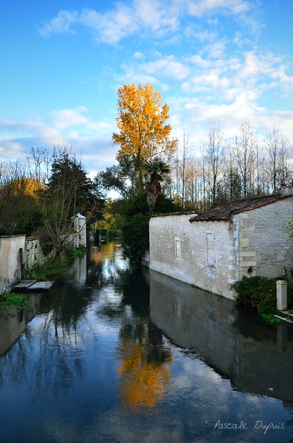 Bassac - Charente