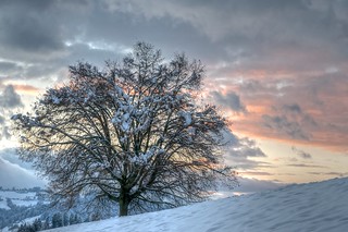 Dorfberg - Winterbeginn