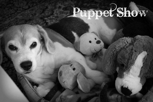 Puppet Show | by Babette_eli