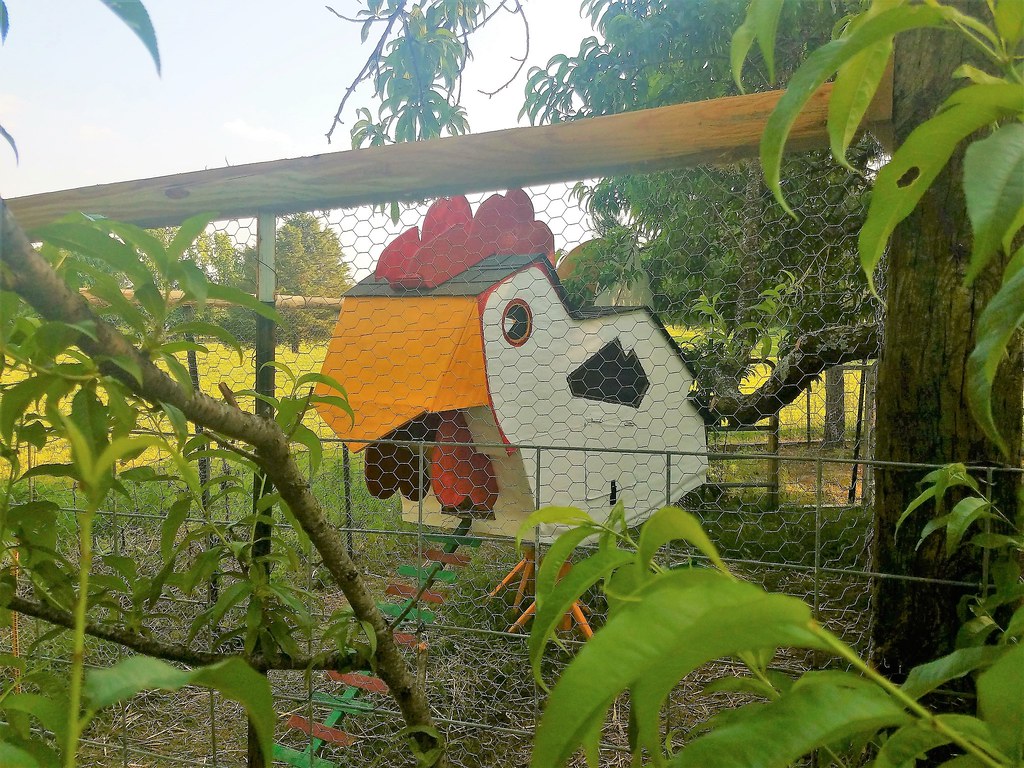 our coop (REX) in the peach trees