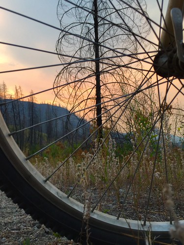 Sunset ride in the Kettle River Valley by Goose Spittin' Image Photography, transcanadatrail kvr blue redsky forestfire deadtree evening august sunset rockcreek bc cycling kett