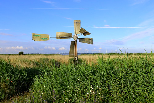 windmill field bergenopzoom