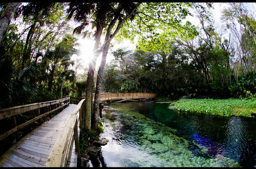 park nature water river landscape nikon florida parks fisheye national nikond7000