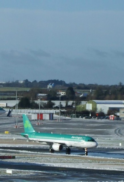 Aer Lingus Airbus (small)