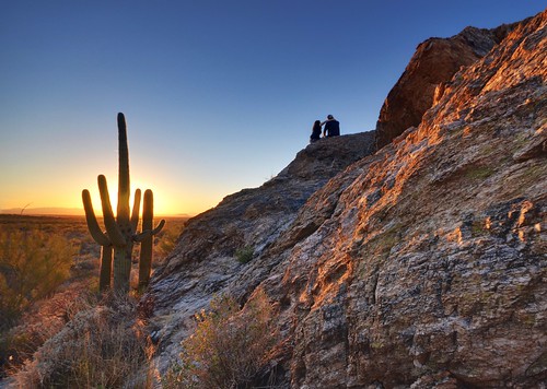 cactus desert wideangle ultrawide saguaronationalpark goldenhour sigma1020 enfuse arirzona javelinarocks nikond5100