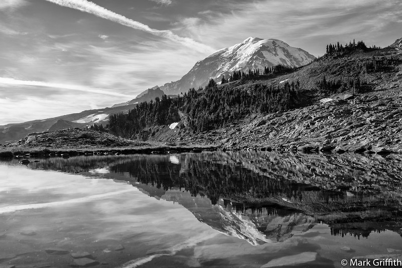 Rainer Twice