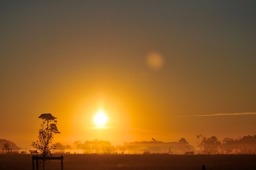 goldenhour hempsted morning sunrise texas