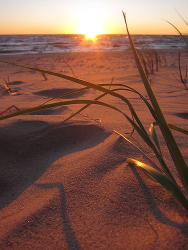 light sunset sun lake beach water grass michigan lakemichigan goodhart