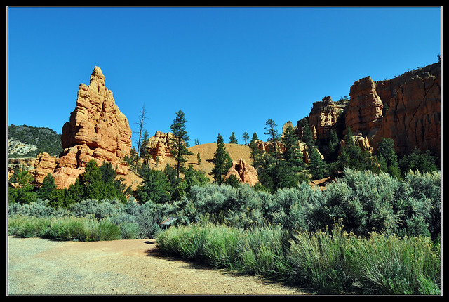 Red Canyon 1