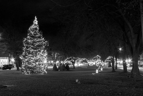 Milford CT Green | Festive lights | Dave Pelland | Flickr