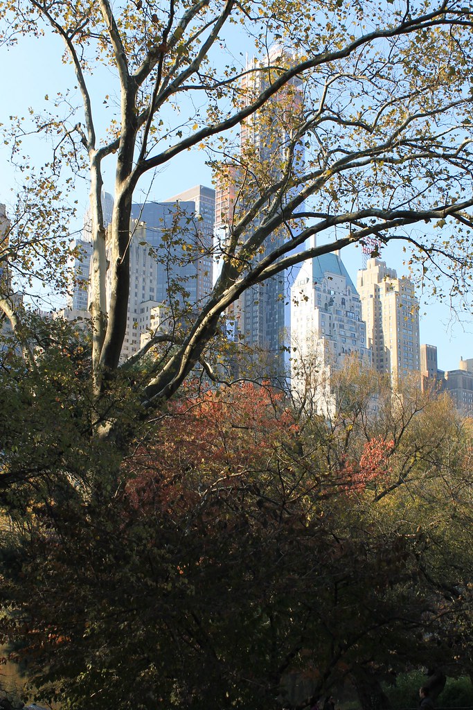 Central Park South - New York City | Central Park South - Ne… | Flickr