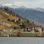 Genfersee / Lac Léman ( See / Lake / Lago ) und Dorf mit Kirche Saint Saphorin ( Lavaux ) ( Church / Eglise / Chiesa ) im Kanton Waadt / Vaudt in der Schweiz