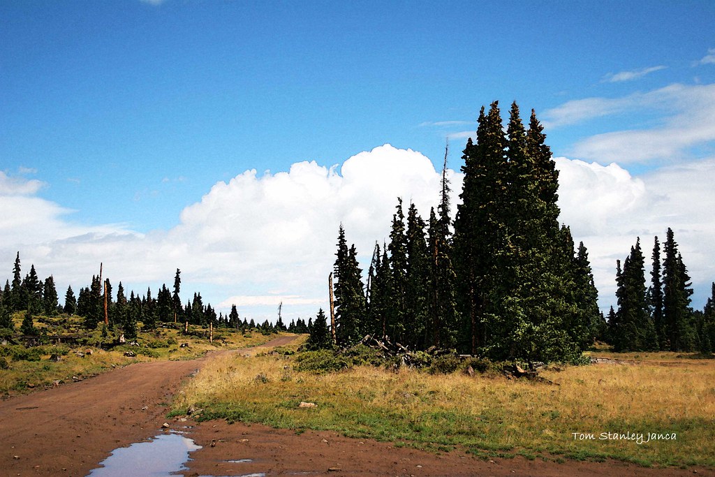 Arrowhead Ranch Area, Colorado | IMG_1784e3 An Art photo hig… | Flickr