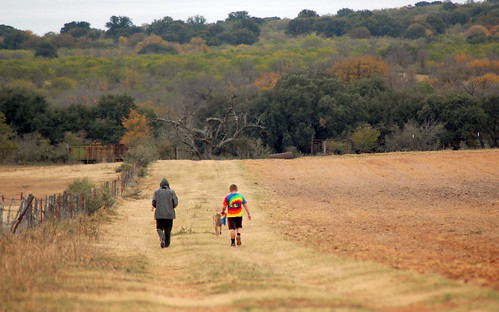november texas 2012 richlandsprings wiltonfarm