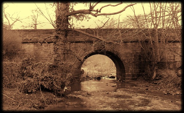Amber's Bridge
