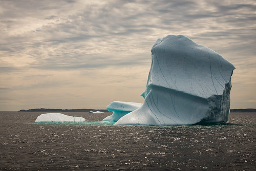 altanticocean fogoisland newfoundland northatlanticocean canada icebergalley nikond610 iceberg ice fogo newfoundlandandlabrador ca
