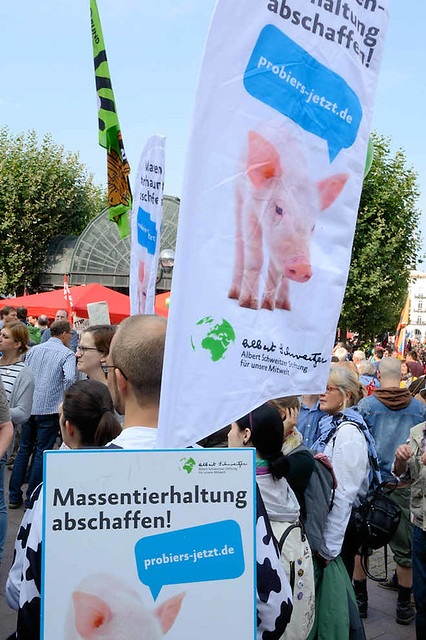 9244 In Hamburg demonstrierten am 17.09.16 zwischen 30.000 und 65.000 Menschen  gegen die geplanten Freihandelsabkommen TTIP und CETA. Mehr als 30 Organisationen aus Norddeutschland hatten zu den Protesten aufgerufen. Bundesweit fanden zeitgleich weitere