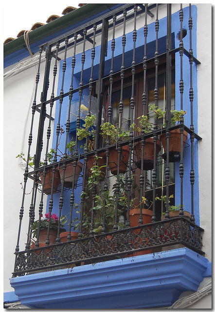 Fenêtre bleue dans les rues de Cordoue