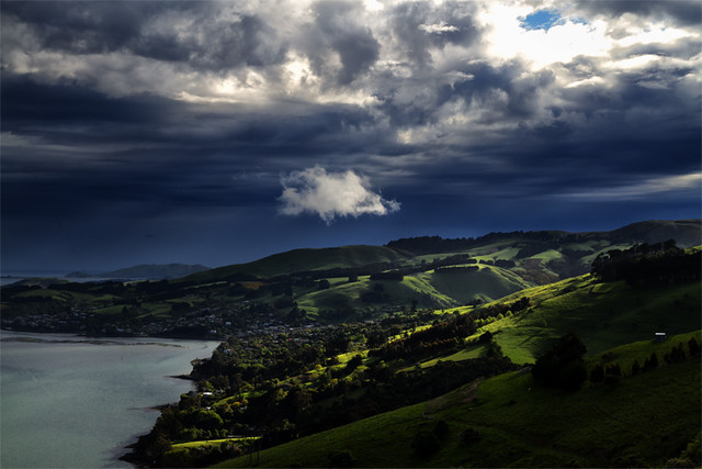 Otago Peninsula, Dunedin, Otago, New Zealand