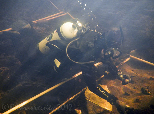 river underwater maine diving science diver mussels fieldwork scubadiver penobscotriver biodrawversity corbinbrody yellowlampmussels
