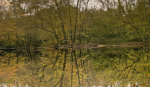 autumn fall water reflections tennessee autumncolors reflective powellriver hancockcounty backroadphotography kjerrellimages