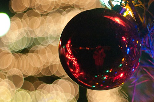 Unintentional Self Potrait With Bokeh | by Scott Dunson
